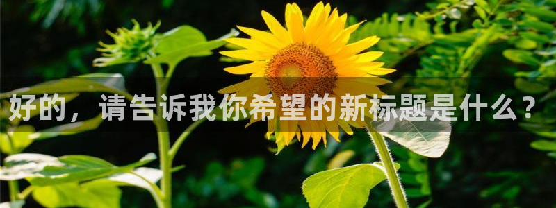 星欧娱乐平台负责人：好的，请告诉我你希望的新标题是什么？