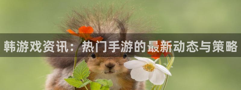星欧娱乐下载：韩游戏资讯：热门手游的最新动态与策略