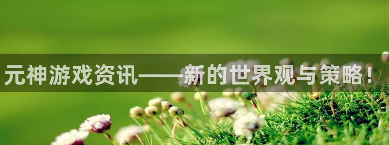 星欧娱乐注册登录平台：元神游戏资讯——新的世界观与策略！