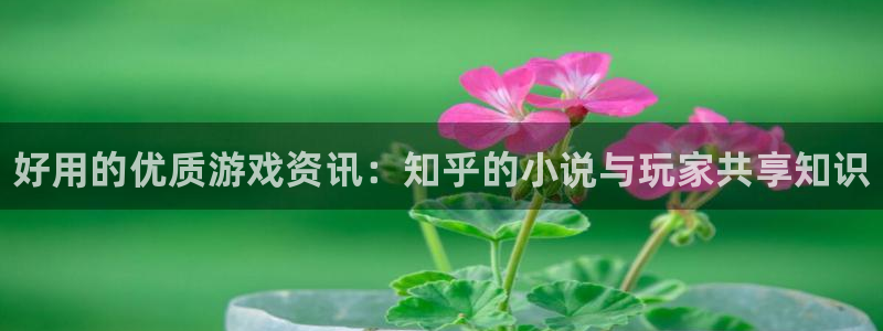 星欧娱乐官方登录网址：好用的优质游戏资讯：知乎的小说与玩家共