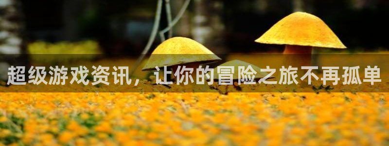 星欧娱乐注册测速：超级游戏资讯，让你的冒险之旅不再孤单