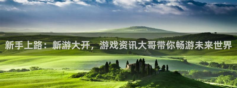 星欧娱乐是什么：新手上路：新游大开，游戏资讯大哥带你畅游未来