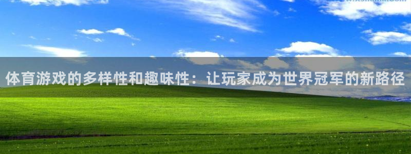 星欧娱乐网页登录入口官网：体育游戏的多样性和趣味性：让玩家成