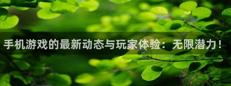 星欧娱乐怎么注册：手机游戏的最新动态与玩家体验：无限潜力！