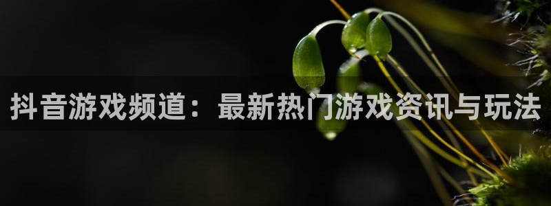 星欧娱乐下载链接：抖音游戏频道：最新热门游戏资讯与玩法