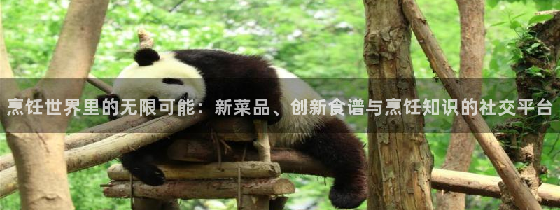 星欧娱乐娱乐是真的吗：烹饪世界里的无限可能：新菜品、创新食谱