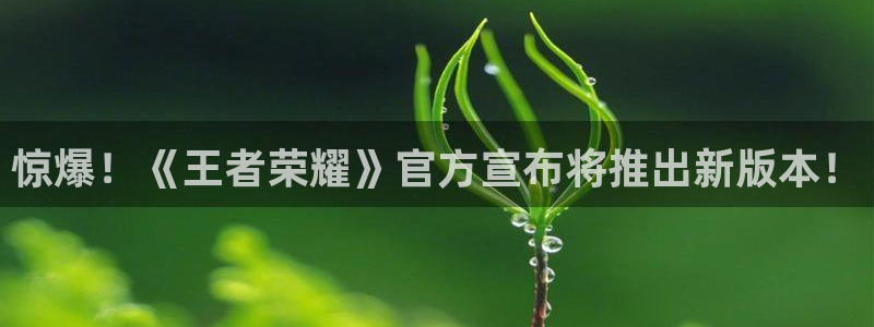 星欧娱乐app：惊爆！《王者荣耀》官方宣布将推出新版本！