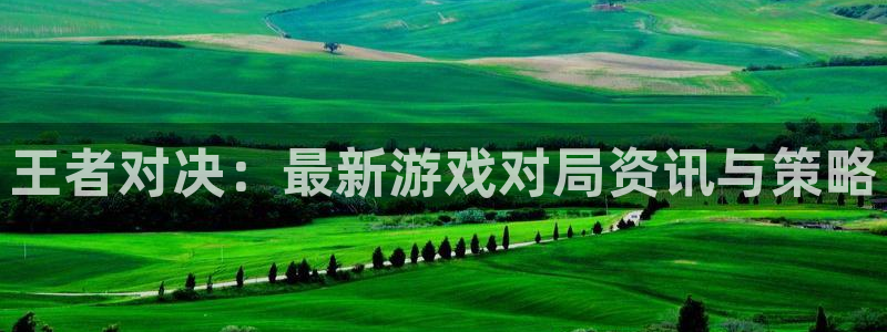 星欧娱乐科技：王者对决：最新游戏对局资讯与策略