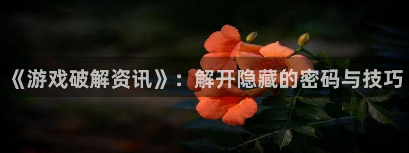 星欧娱乐网址官网：《游戏破解资讯》：解开隐藏的密码与技巧