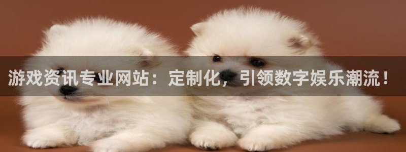 星欧娱乐代理登陆：游戏资讯专业网站：定制化，引领数字娱乐潮流