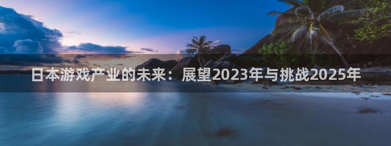 星欧娱乐注册登录：日本游戏产业的未来：展望2023年与挑战2