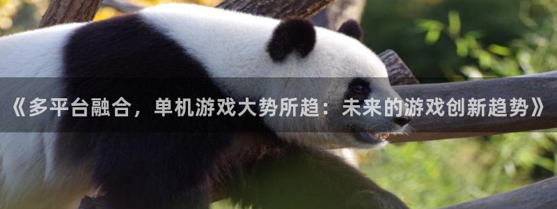 星欧娱乐注册测速：《多平台融合，单机游戏大势所趋：未来的游戏