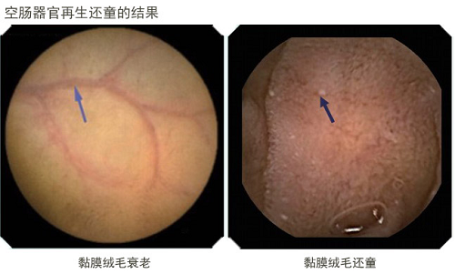 五五世纪(中国区)官方网站