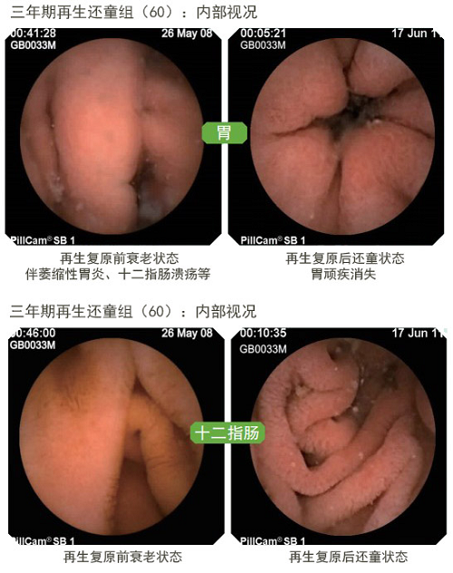 五五世纪(中国区)官方网站
