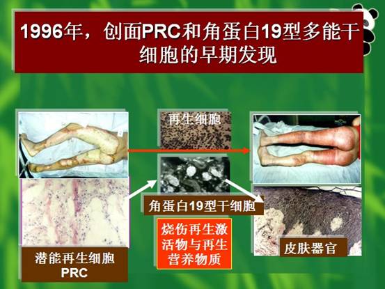 五五世纪(中国区)官方网站