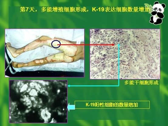 五五世纪(中国区)官方网站