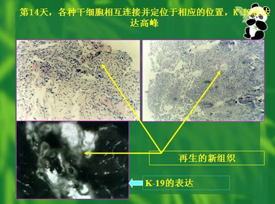 五五世纪(中国区)官方网站