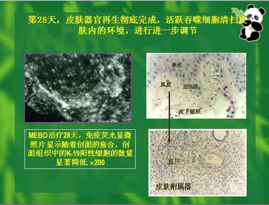 五五世纪(中国区)官方网站