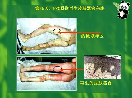 五五世纪(中国区)官方网站
