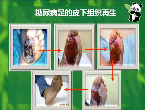 五五世纪(中国区)官方网站