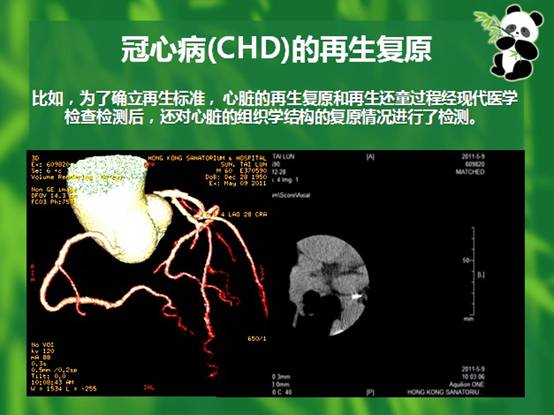 五五世纪(中国区)官方网站