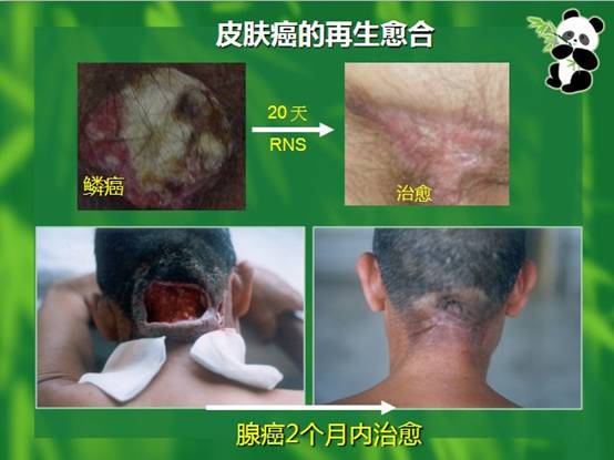 五五世纪(中国区)官方网站